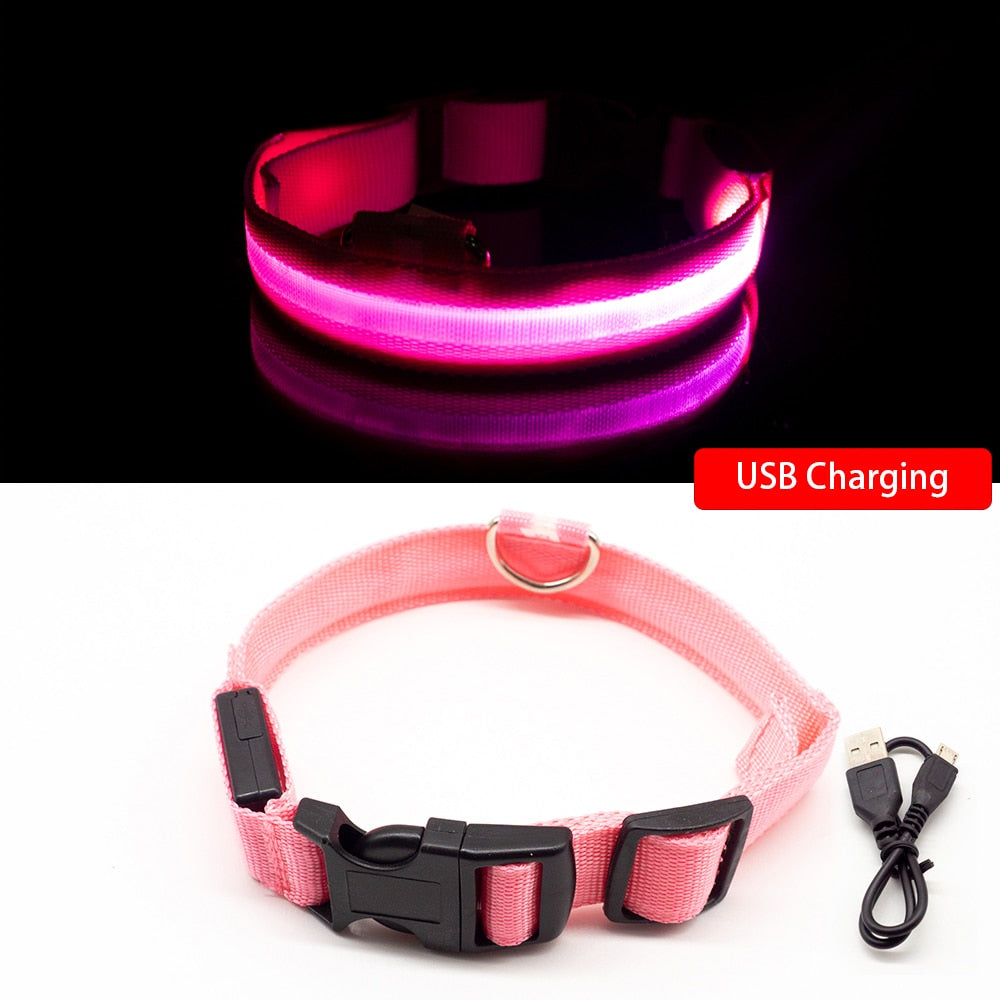 LED "Anti-Lost GLOW" Dog Collar For Dogs and Puppies + USB Charging - Pink