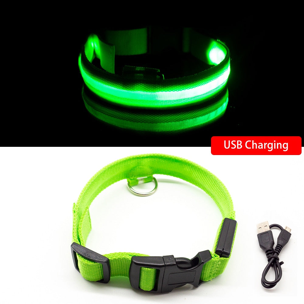 LED "Anti-Lost GLOW" Dog Collar For Dogs and Puppies + USB Charging/Battery Replacement (2) - Green